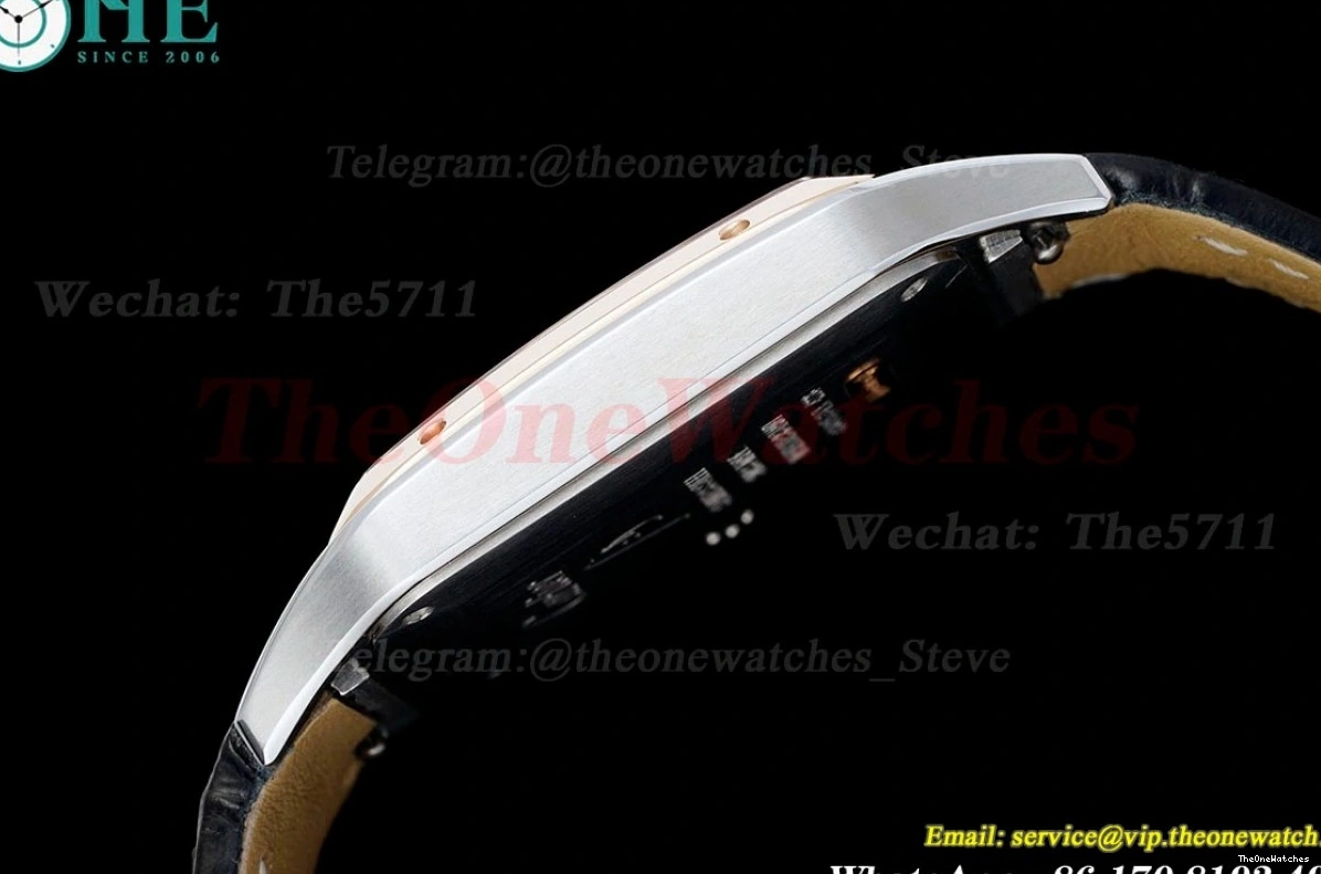 Dial Dumont Quartz Silver Santos Black AF LE RG 0204